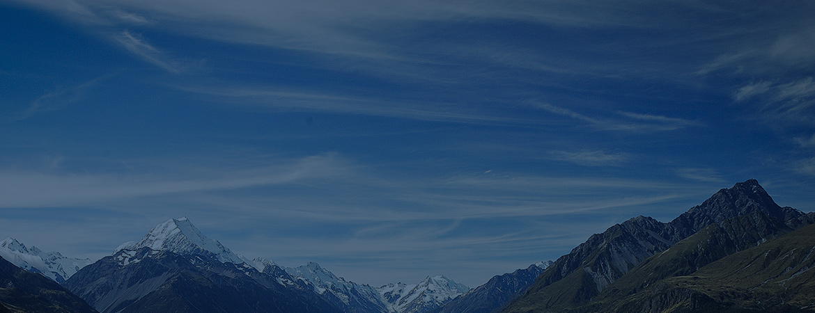 Hervorgehobenes Bild